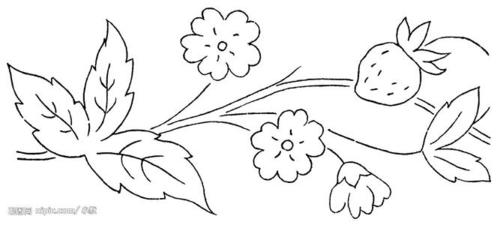 内容有百合的简笔画图片花朵简笔画板报网简笔画 手绘 线稿 1000