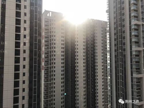 荆州市金凤人才公寓公开摇号!首批179人即将入住