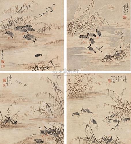 0093 芦雁图 长卷 设色纸本