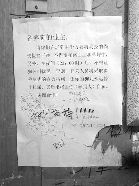 狗狗随处大便将被永远停止拉屎