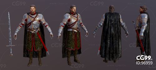 战士圣殿骑士中世纪宫廷护卫统领将军皇宫骑士团长骑士