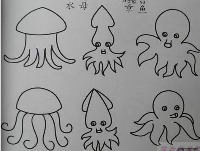 乌贼怎么画