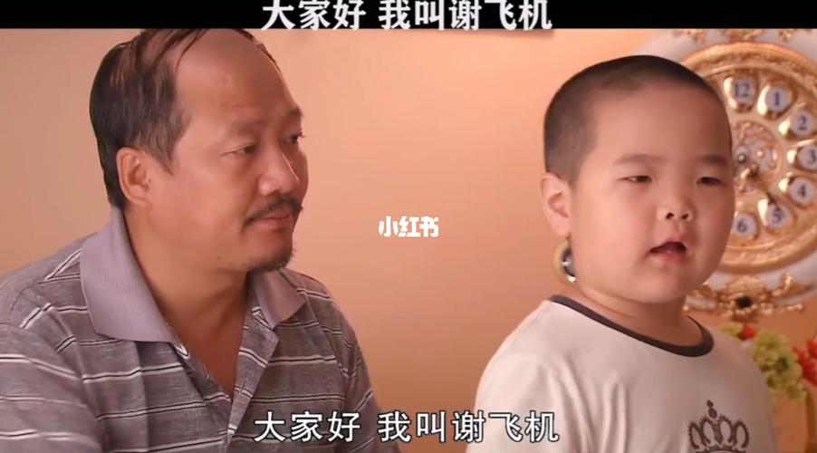 大家好,我叫谢飞机_乡村_乡村爱情_影视_影视混剪