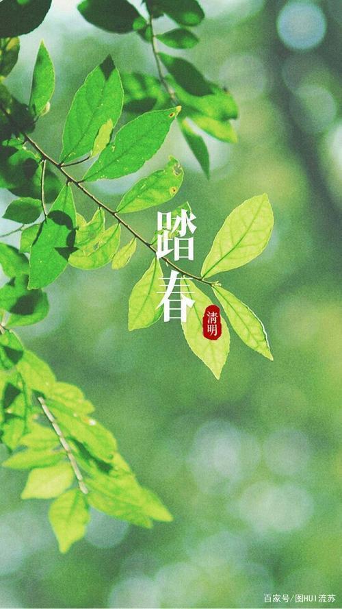 清明节气插画壁纸 清明时节好寻春 不负好景不负卿