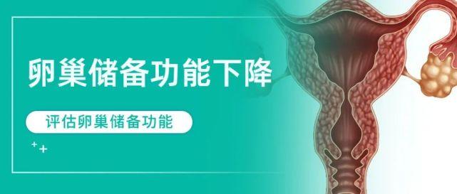 详细解读"卵巢储备功能下降"二三事!