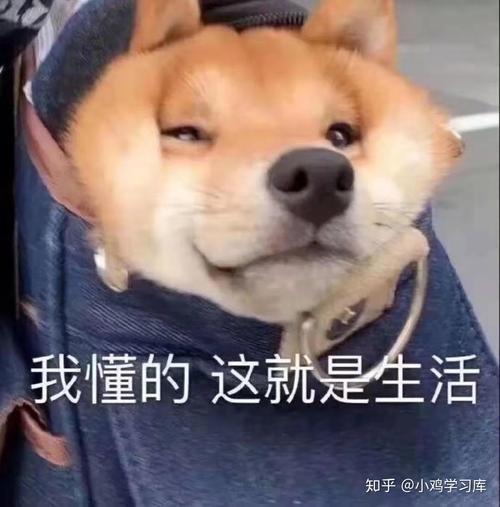 遇到死鸭子嘴硬的人该怎么办