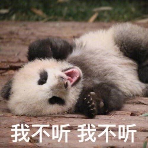 我不听我不听 - 国宝大熊猫滚滚表情包_熊猫_萌萌哒表情