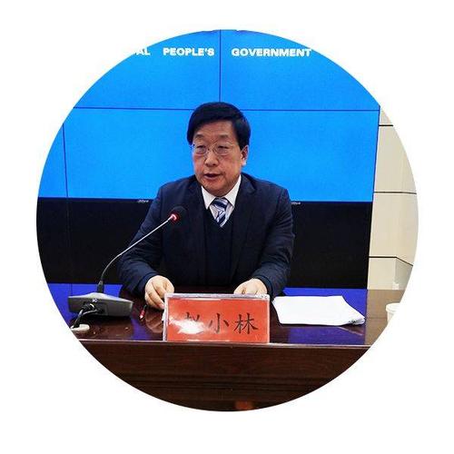 赵小林回答