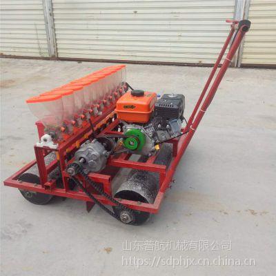 普航胡萝卜播种机厂家 谷子高粱播种机 18行油菜精播机视频