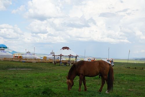 呼伦贝尔大草原风景区