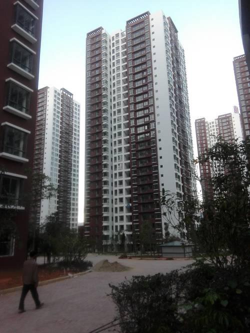 云南某小区保安打伤 14 岁金毛:小区业主,狗狗没死,摇