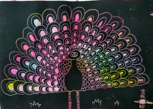 刮刮画       孔雀开屏