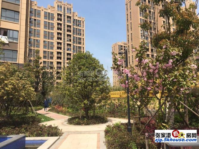 单价7000龙庭华府新空电梯房南北通透采光足随时看房