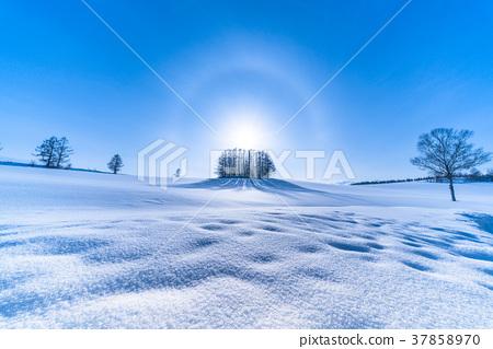 stock photo: frozen field, mildseven hill, winter