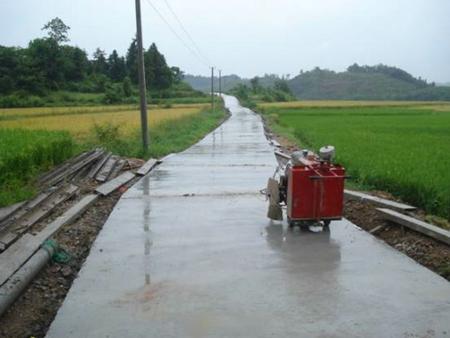 何湾镇呈祥村:一事一议修道路,基层组织建设年显成效