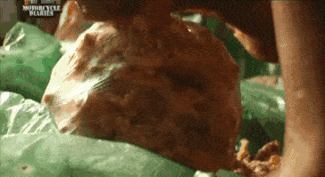 还要跟路边的野狗野猫争夺 周围的苍蝇,蛆虫泛滥成灾 可 maricel