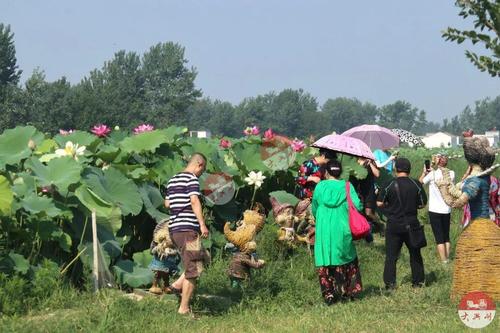 武汉旅游专列800余人首赴平舆县蓝天芝麻小镇观光旅游