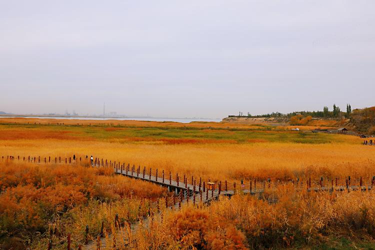 玛纳斯湿地公园