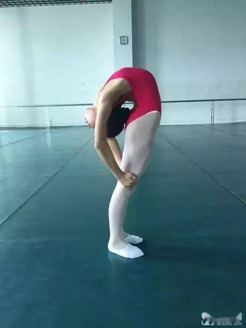 南方舞蹈学校内部舞蹈基本功训练方法