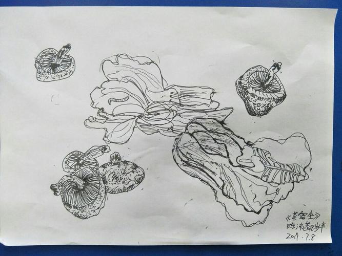 暑期线描写生基础班-《菌类绿叶菜写生》