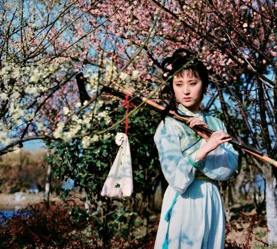 电视剧《红楼梦》剧照(黛玉葬花)