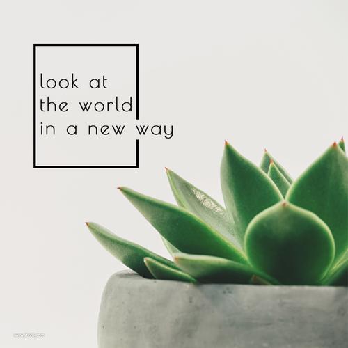 春夏珊瑚橘柠檬黄青春ins风方形商品宣传促销psd海报广告素材