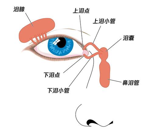 眼药水千万别直接滴眼球,这7个滴眼药水的误区你知道