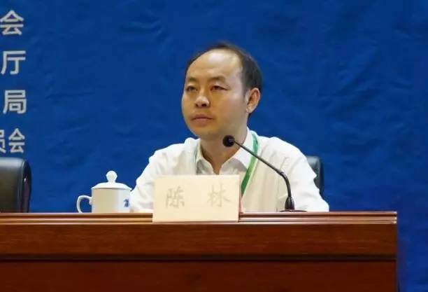 陈林