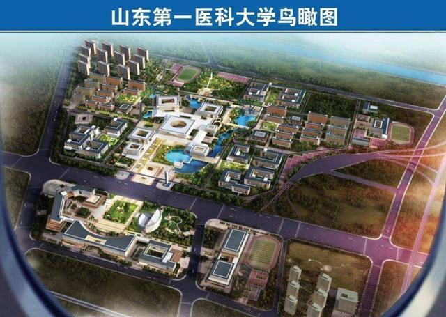 山东第一医科大学2020年新高考省份选考科目要求