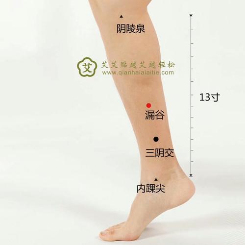 安安之艾的博客