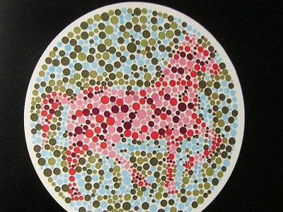 如何确定色盲和色弱