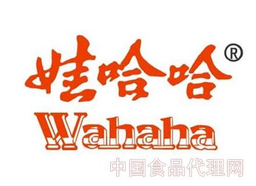娃哈哈正在寻找海外收购
