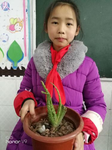 小小园艺师