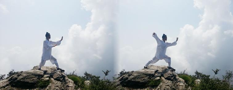太极十三式 - 武当山道家传统武术馆