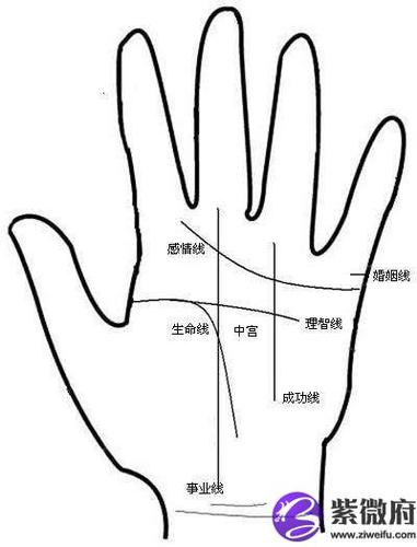 男人手相图解