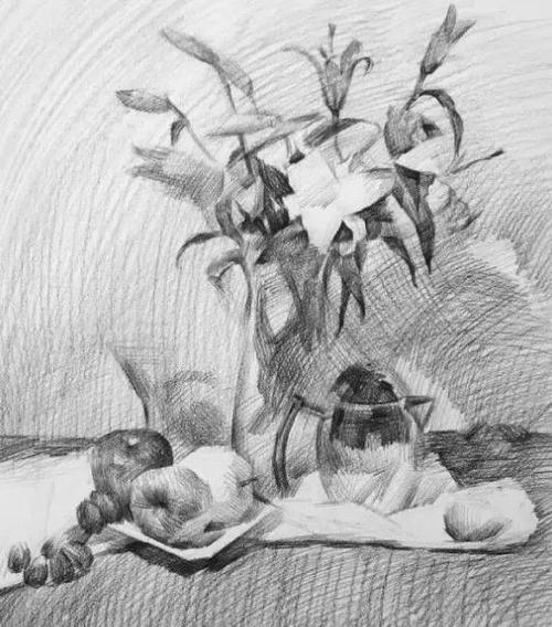 素描教程丨花卉类静物要怎么画