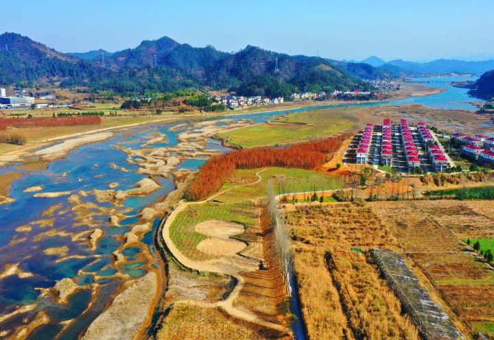 淳安种下万株护水树千亩湿地别样美