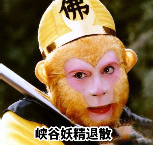 打游戏遇见妖怪怎么办##孙悟空西游记新皮肤# 孙悟空表情包在此,我看