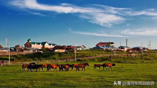森林-莫尔道嘎 住莫尔道嘎2日:额尔古纳-根河湿地-鄂伦春驯鹿部落