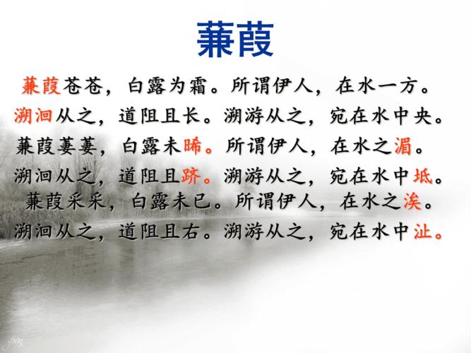 蒹葭公开课精美课件ppt