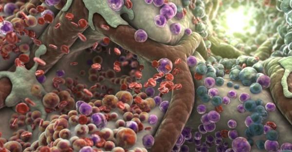 3d技术放大的人体细胞组织