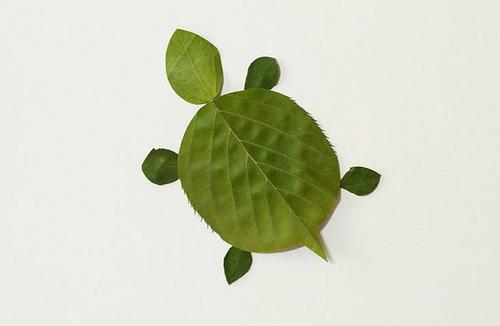 我用小手感受秋天--亲子创意手工树叶粘画活动