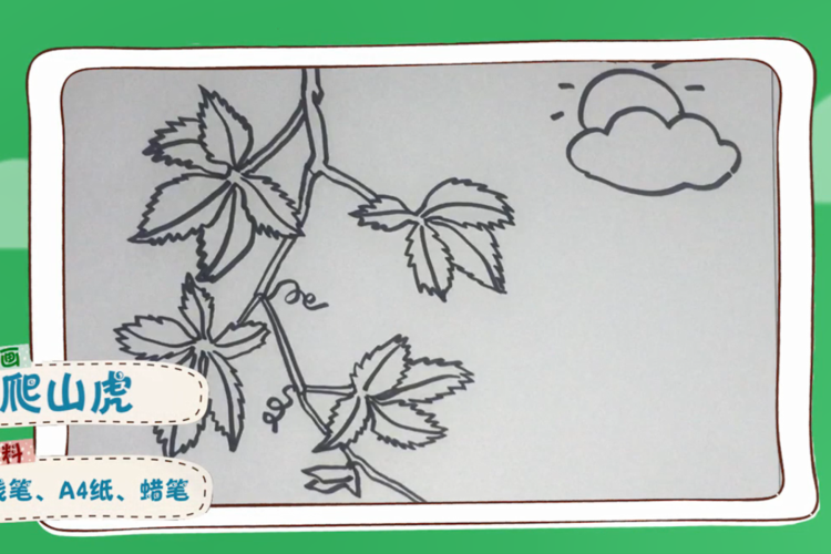 爬山虎的简笔画怎么画?