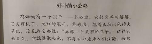 《好斗的小公鸡》