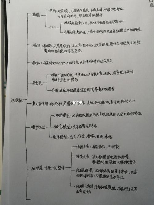 细胞核思维导图(详细版)