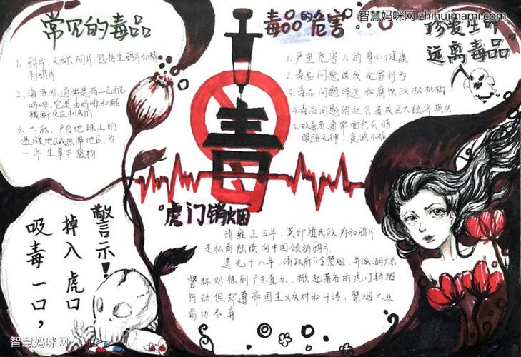初中生禁毒教育手抄报一等奖