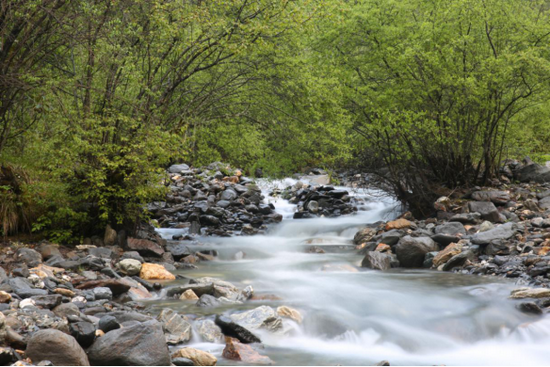 汶川大力推进生态文明建设为大熊猫创造了良好的生存环境