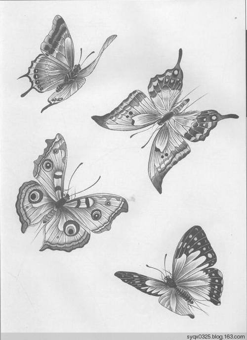 【名家--蝴蝶画】白描--1