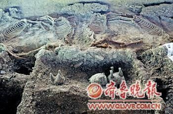 古墓丽影:沂水春秋墓怪相不断