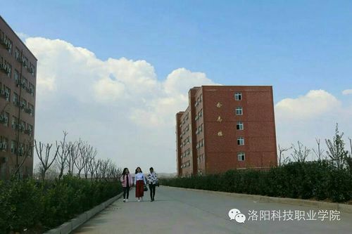 洛阳科技职业学院 校园风景